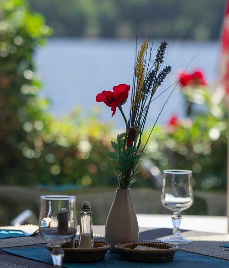 Logis Hotel Du Lac Neuvic  エクステリア 写真