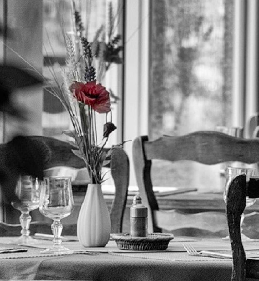 Logis Hotel Du Lac Neuvic  エクステリア 写真